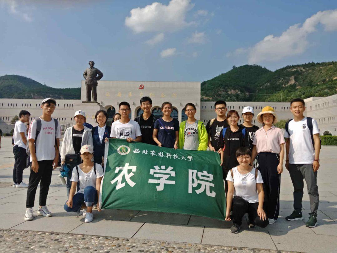 逗小猴开心系列184